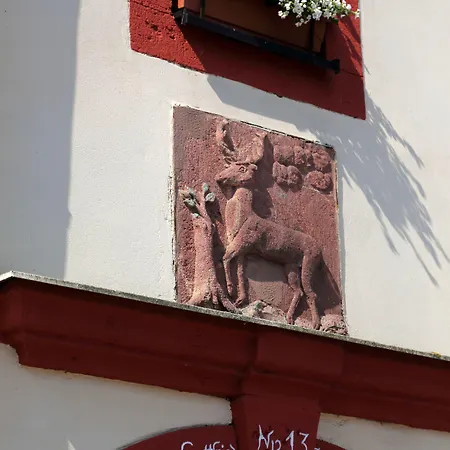 盖斯霍夫罗特赫希酒店 Claußnitz