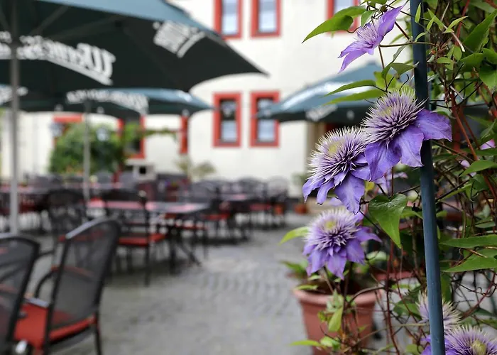 Und Roter Hirsch Claußnitz